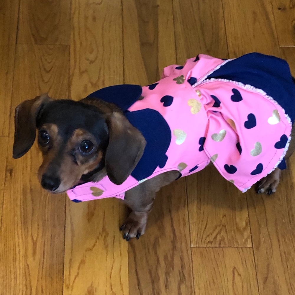 Doggie Dresses